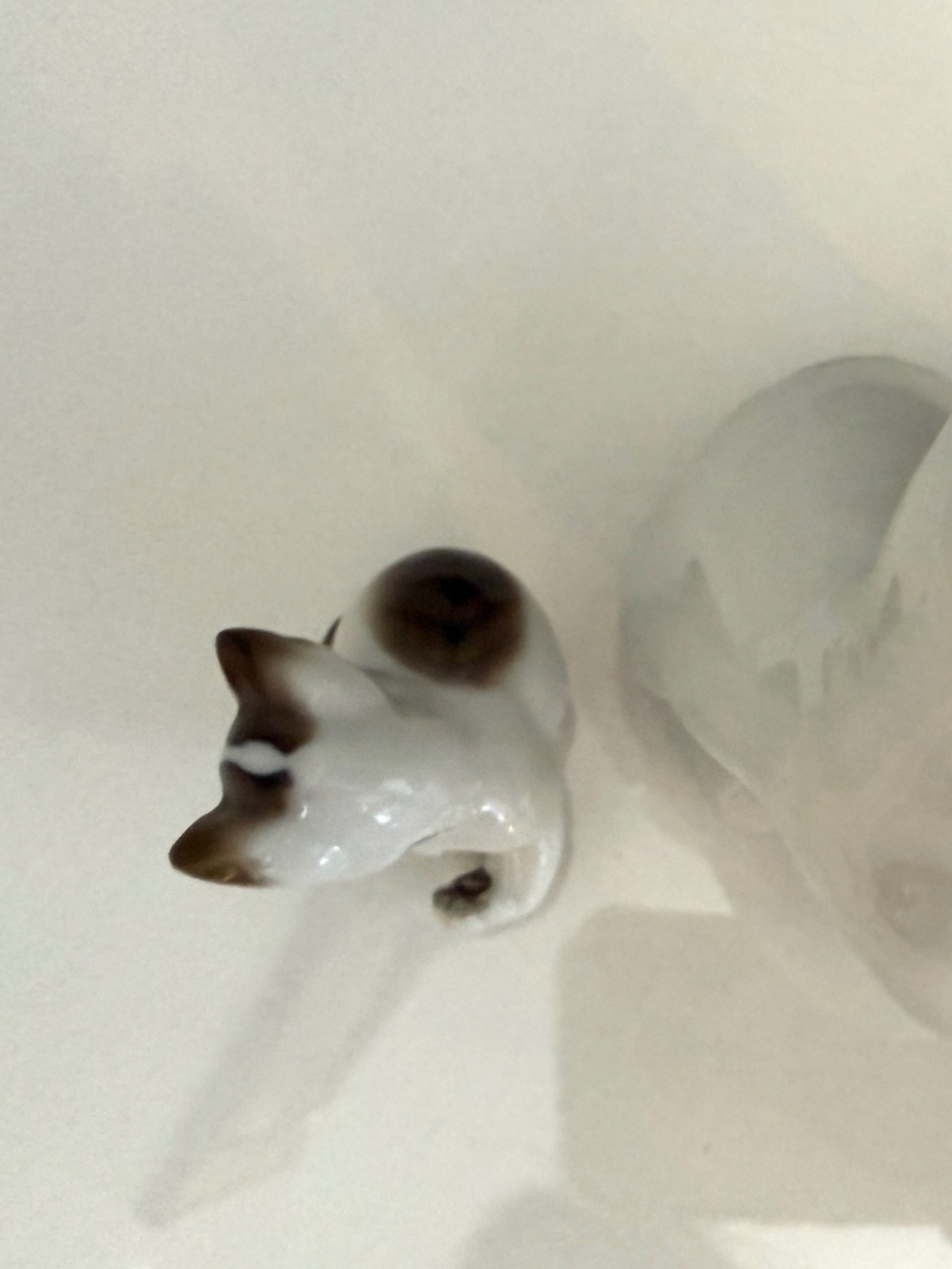 Set of Rosenthal Germany Playful Seated Kittens Figurines in Excellent Condition - Picture 11 of 13